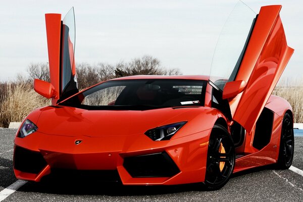 Lamborghini Aventador vue de face avec portes ouvertes