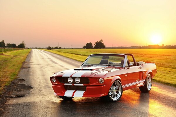 Rouge avec des rayures blanches voiture Ford Mustang sur la route dans le domaine