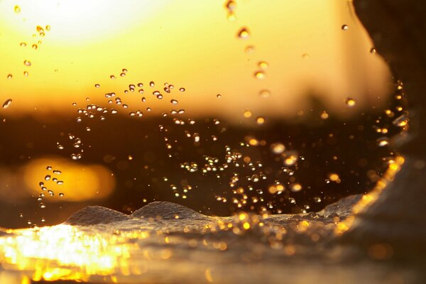 Splashes of water in the rays of the setting sun