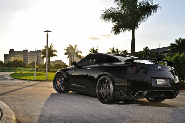 Nissan black on the road with palm trees