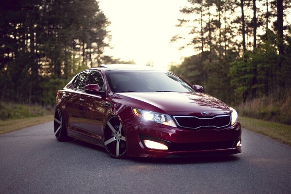 Kia optima on the background of a pine forest