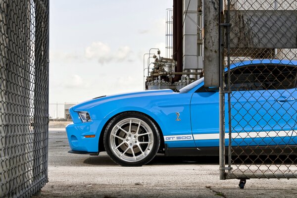 Blue Ford Mustang si è fermato alle recinzioni in rete