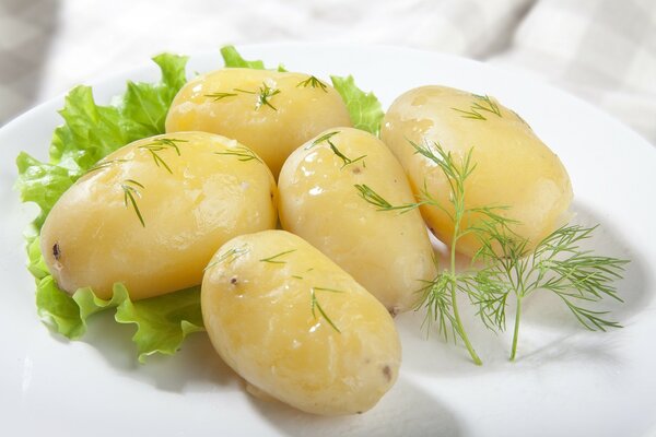 Patate bollite con aneto e foglie verdi