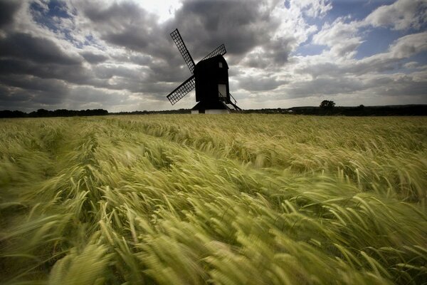 Windmill on the background of bending ears