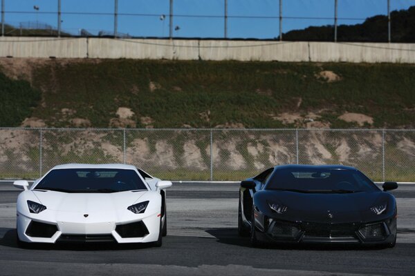 Lamborghini aventador black and white on the road