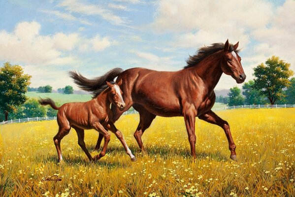 Horse and foal galloping on a yellow field