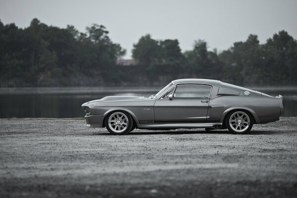 El Ford Mustang GT500 gris de Shelby se encuentra en la grava