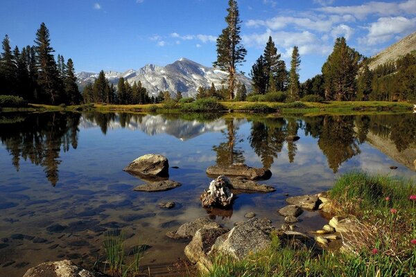 Rivière de montagne sur fond de montagne