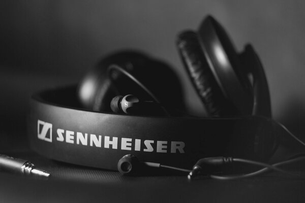 Image en noir et blanc des écouteurs sennheiser