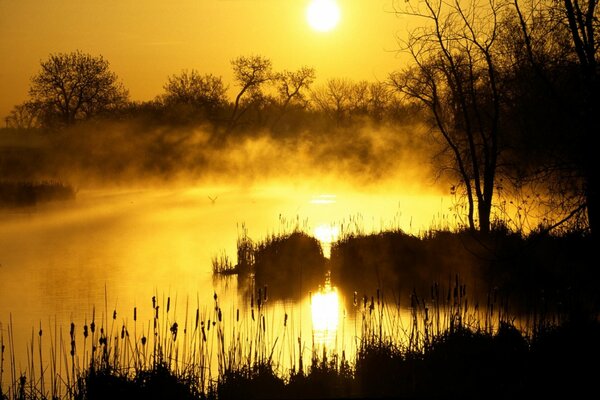 Heller Sonnenaufgang über dem Wasser