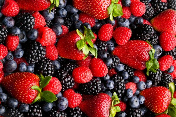 Blueberries, strawberries, raspberries and blackberries