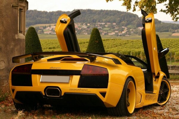 Lamborghini jaune sur fond de nature