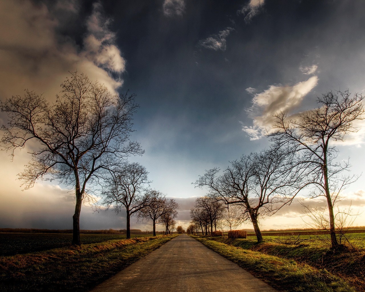 straße himmel bäume