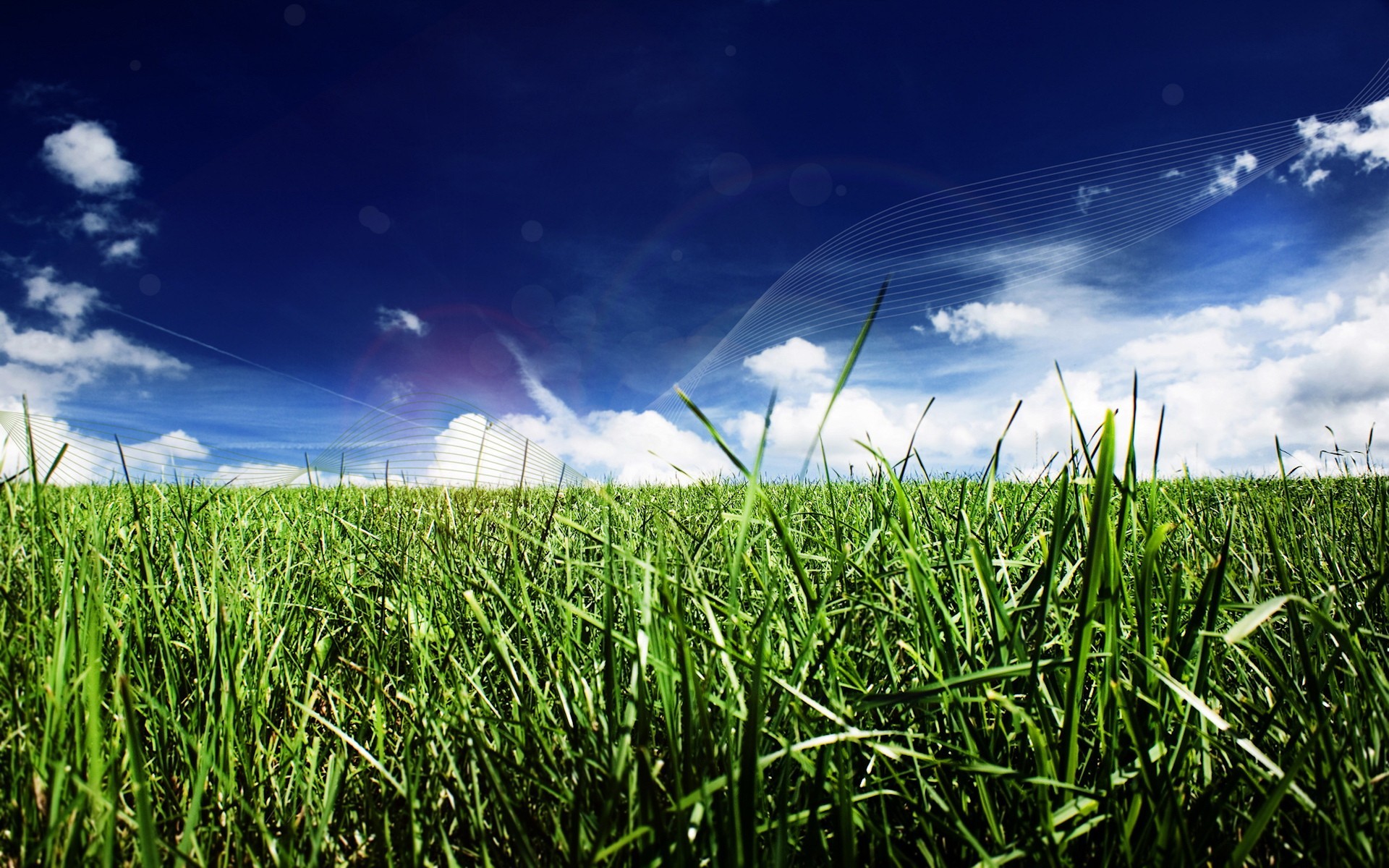 grass line cloud