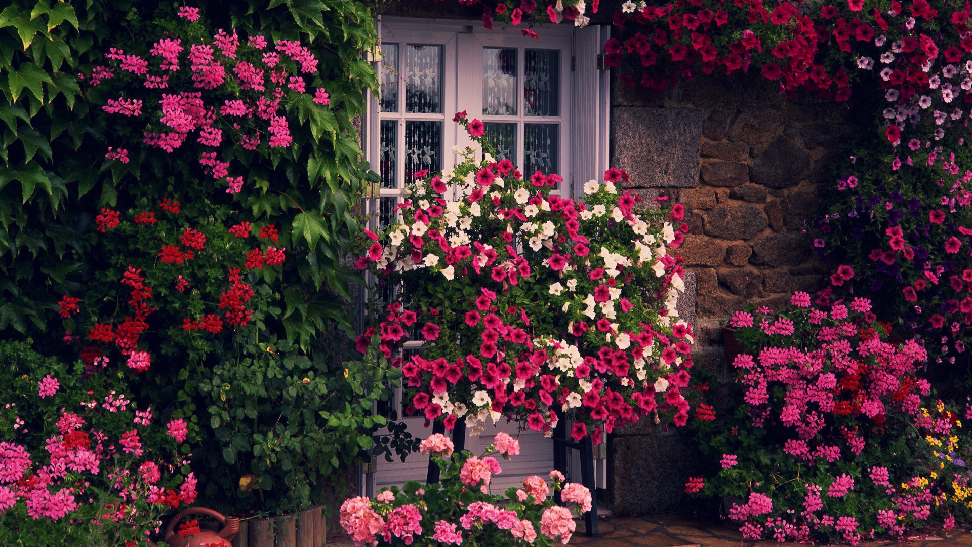 verdure porte maison mur fleurs