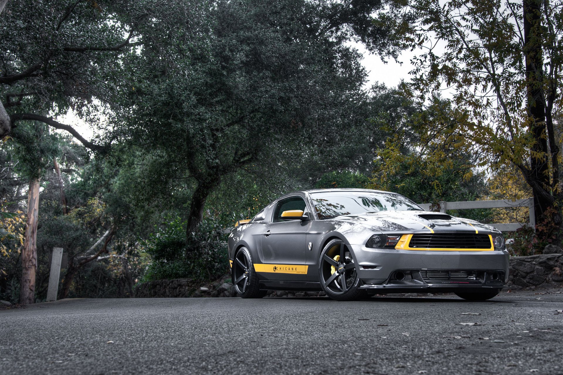 ford mustang gt silvery silver muscle car front tree road fence forest