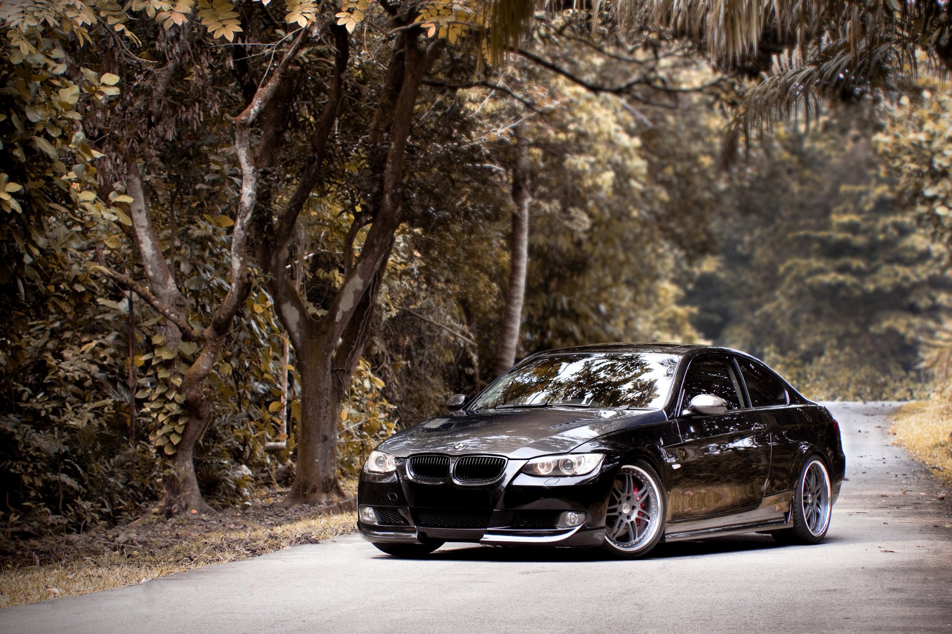 bmw 335i e92 czarny bmw las droga