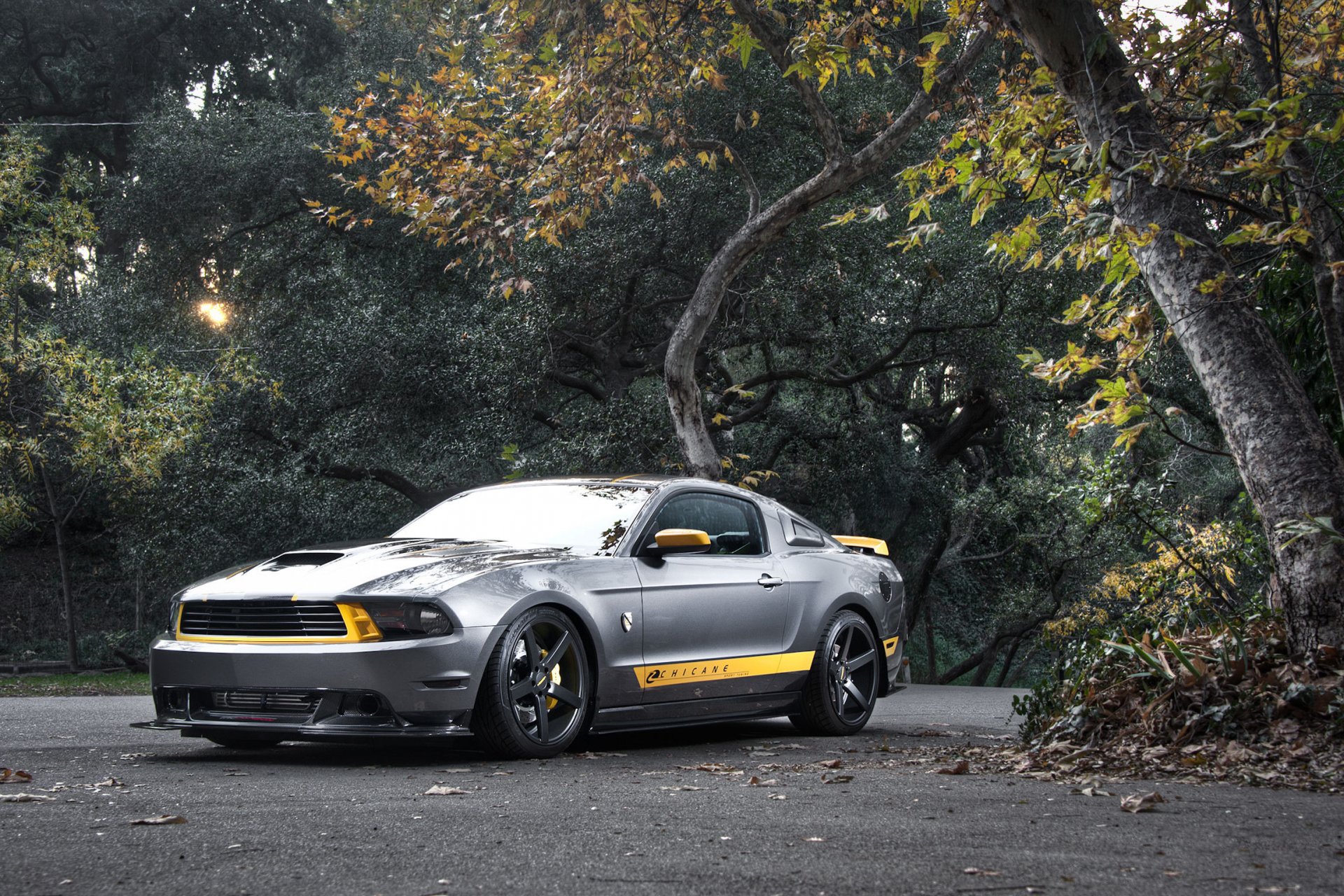 ford mustang gt srebrny srebrny muscle car przód drzewa droga las