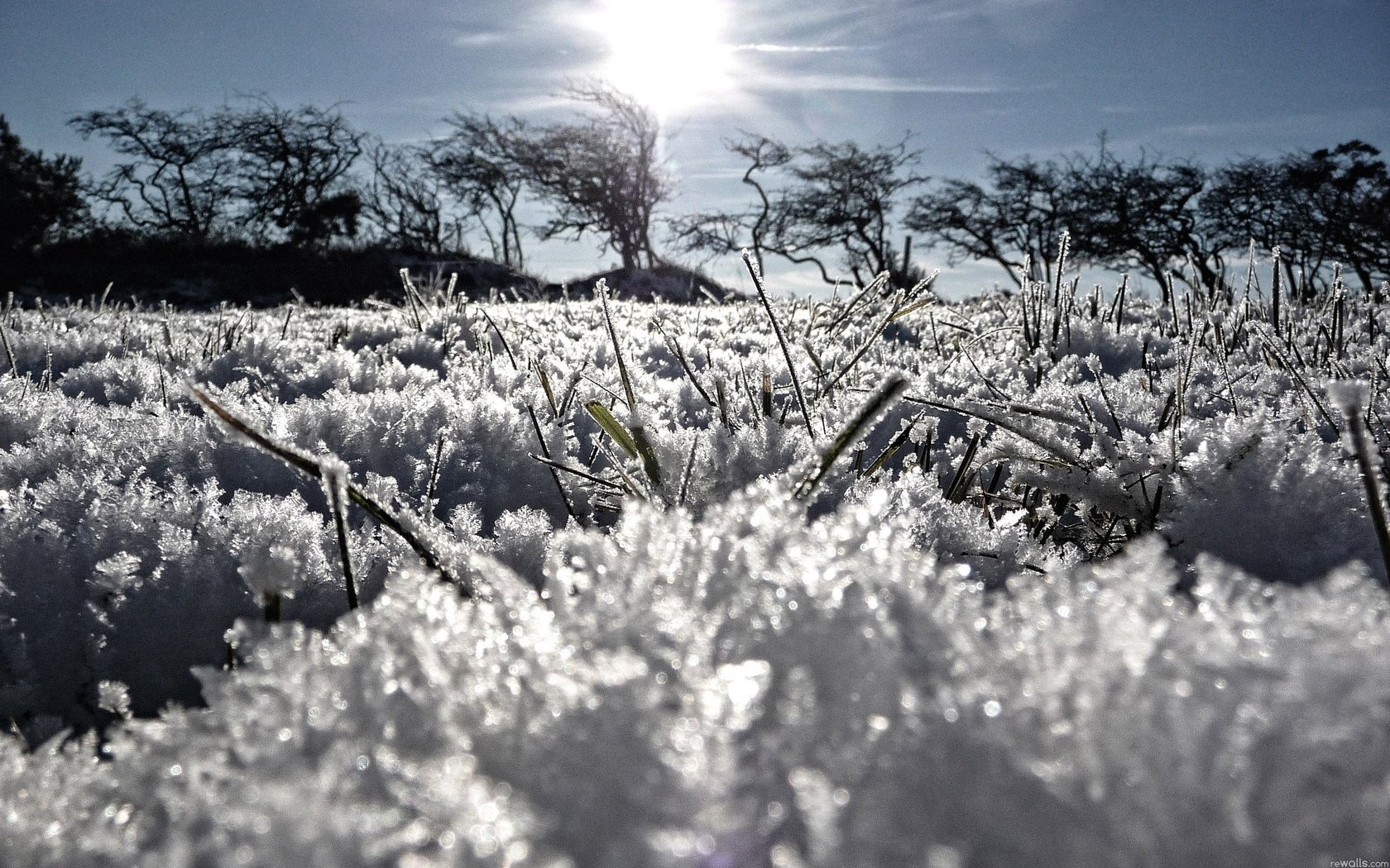 hierba sol témpanos de hielo escarcha nieve