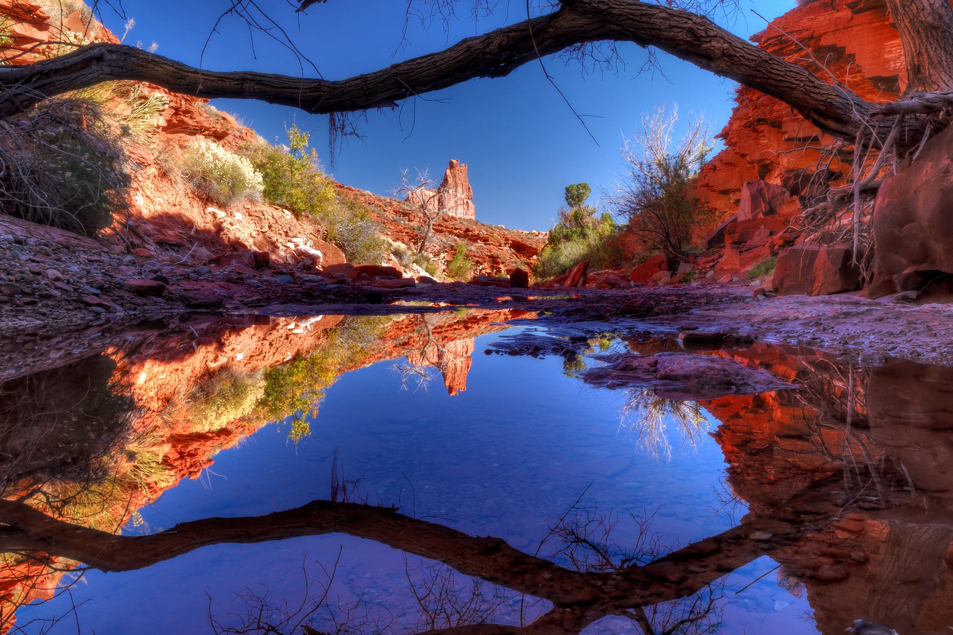 lago árbol agua naturaleza cañón