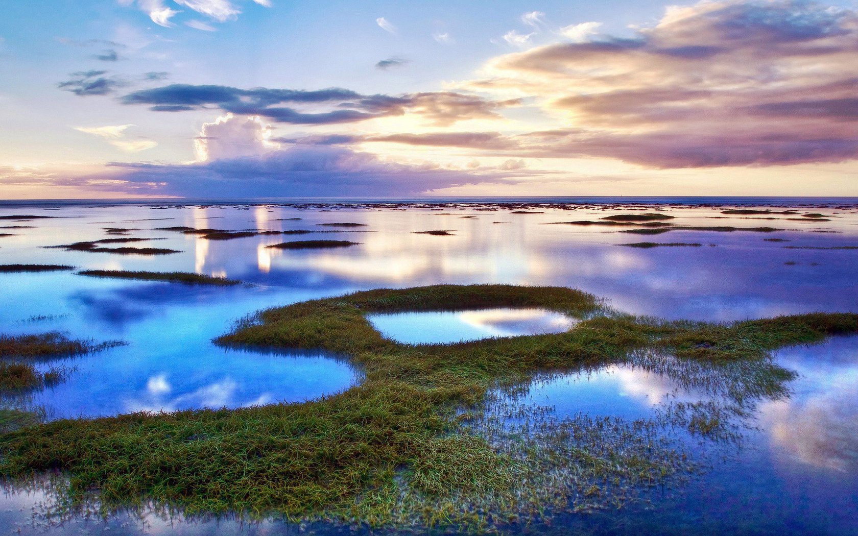 urface grass surface water