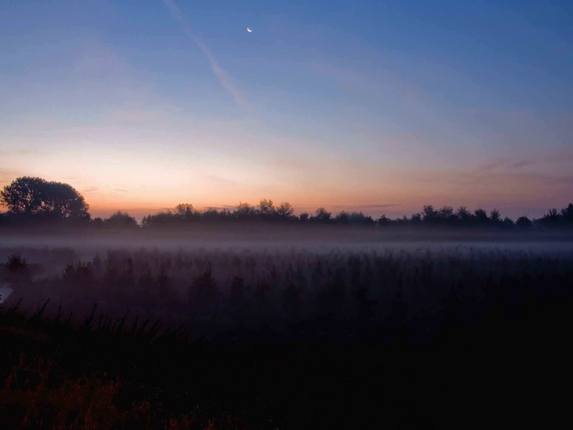 campo luna niebla