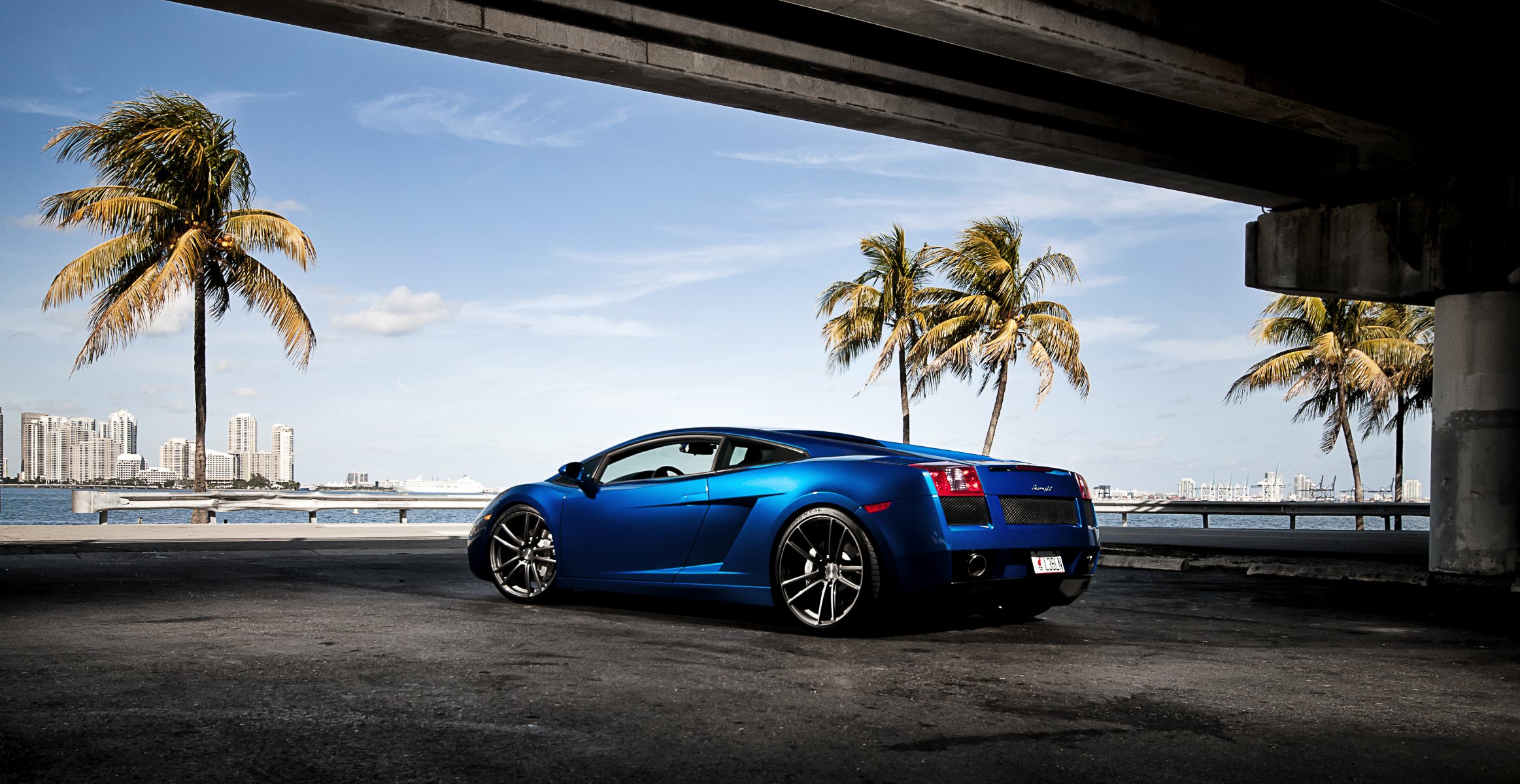 lamborghini gallardo bleu lamborghini lamborghini gallardo arrière ciel palmiers