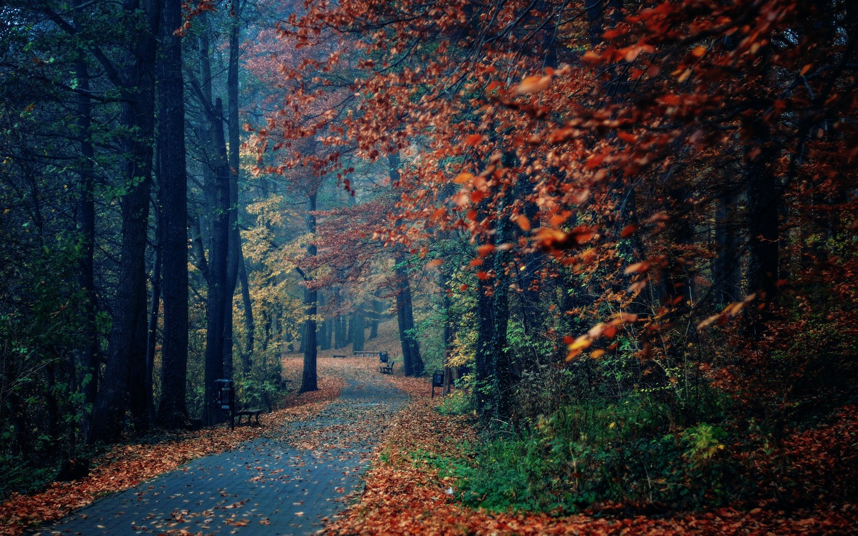 park sklepy przyroda drzewa jesień