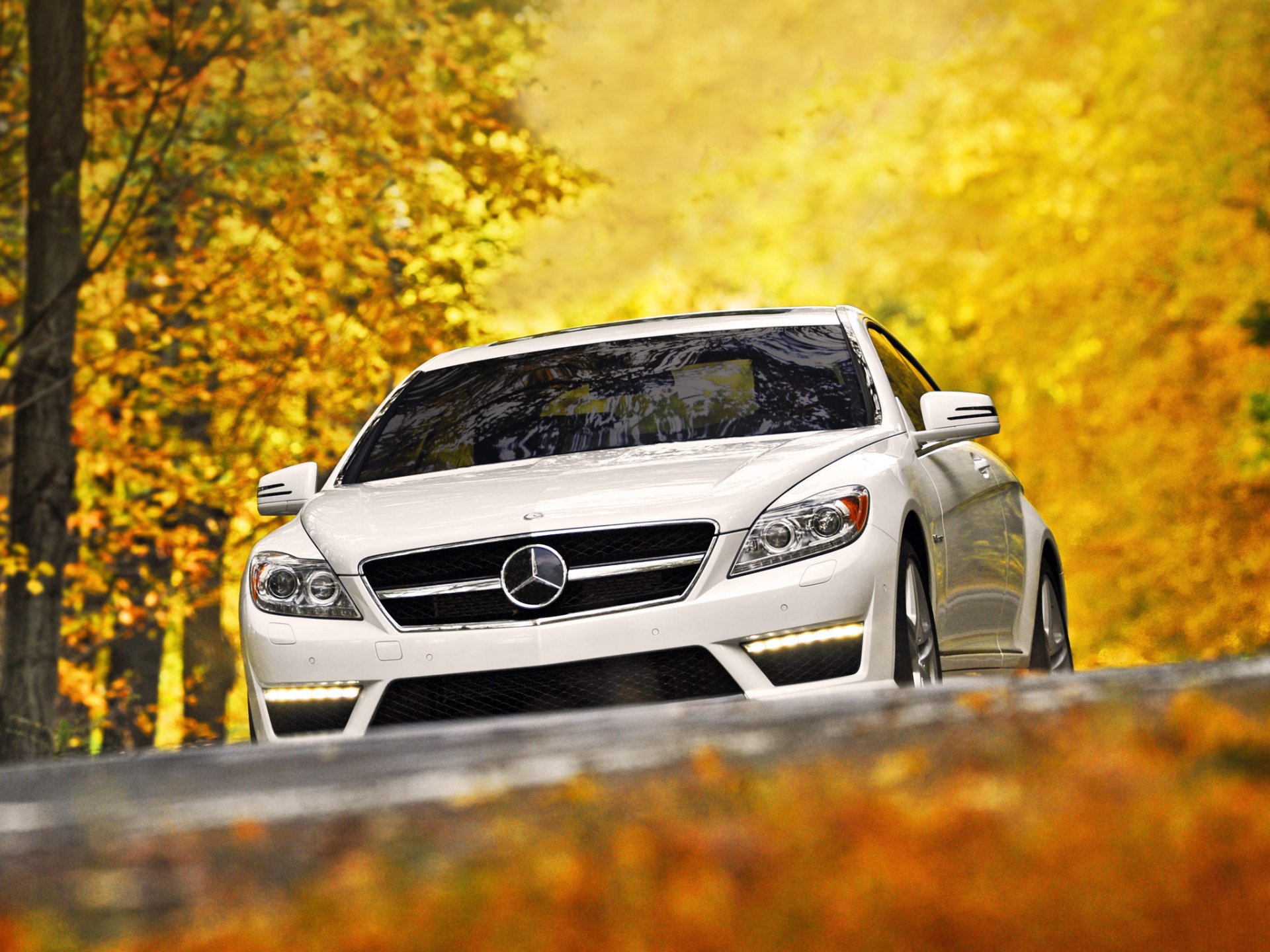 mercedes-benz cl63 amg mercedes cl63 amg blanc supercar avant automne arbres feuilles