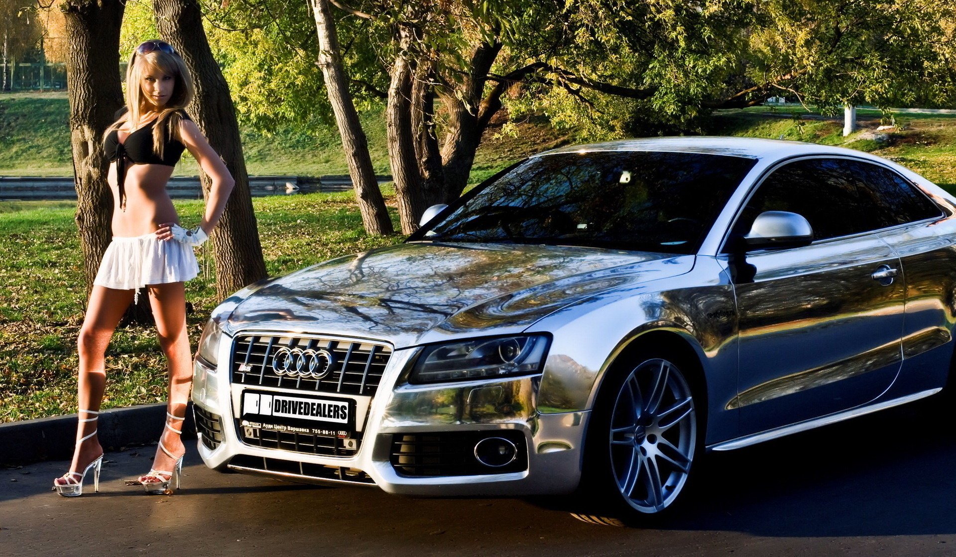 auto brillant chrome audi voiture s5