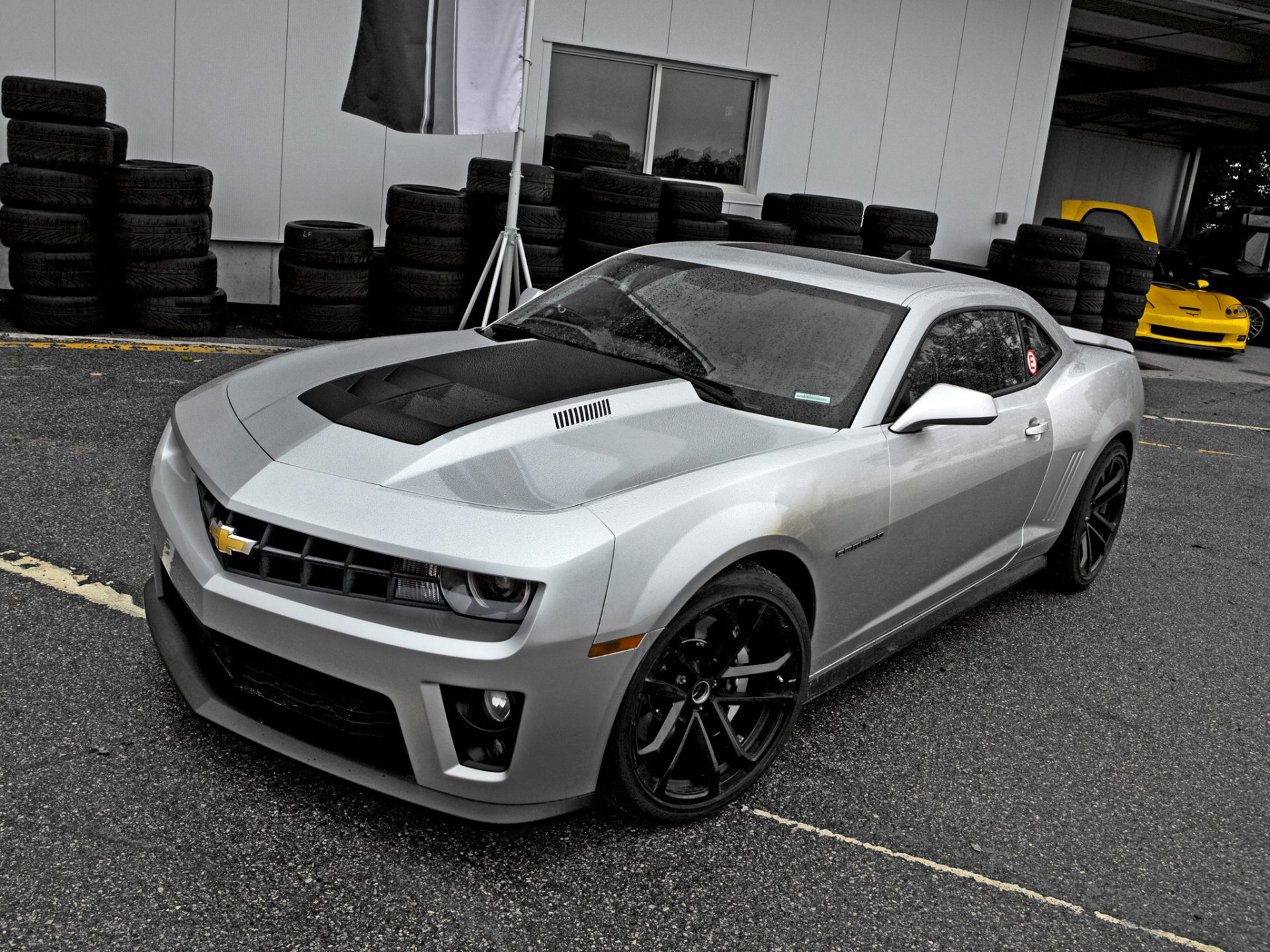 camaro zl1 2011 coche del músculo