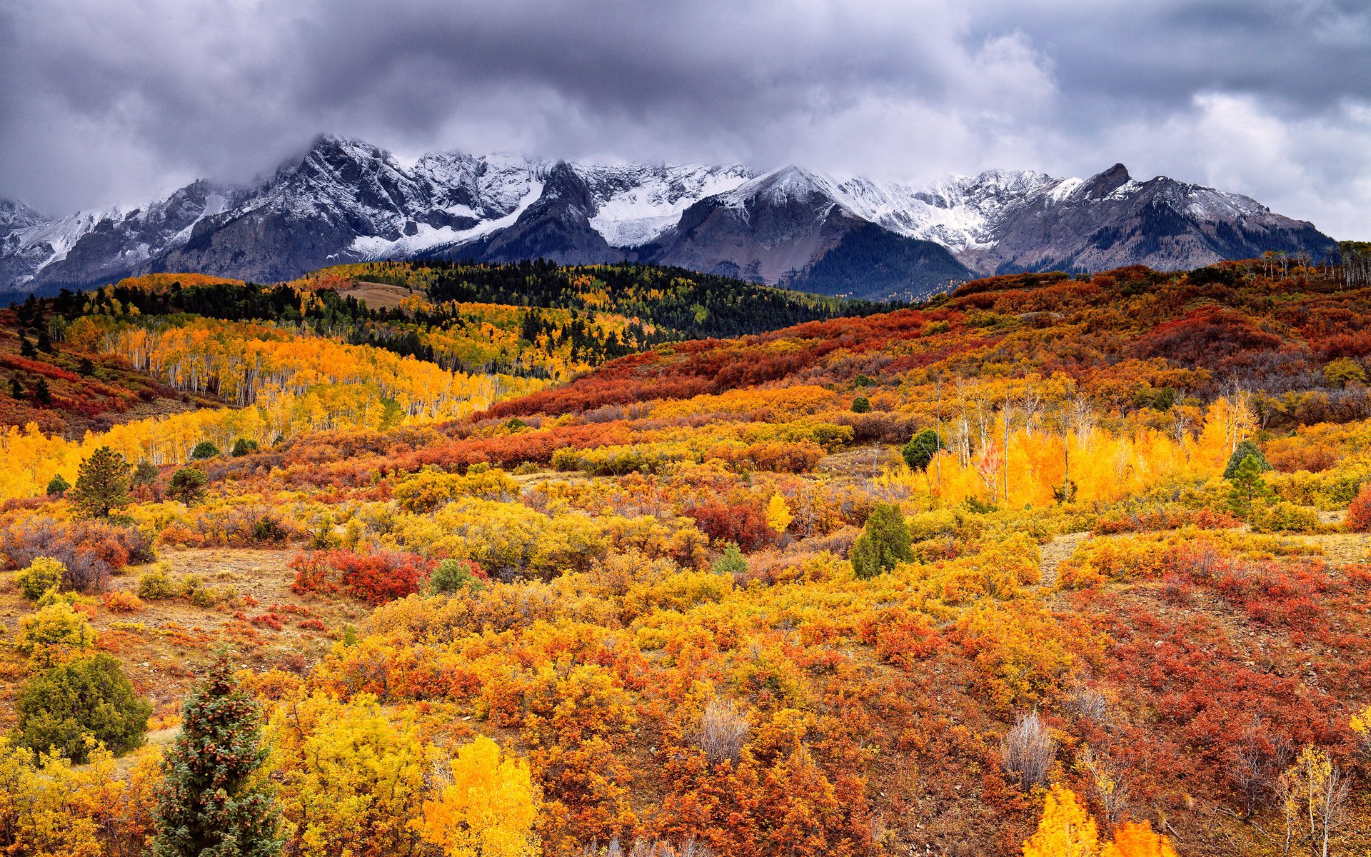 forest paint mountains autumn the sky cloud