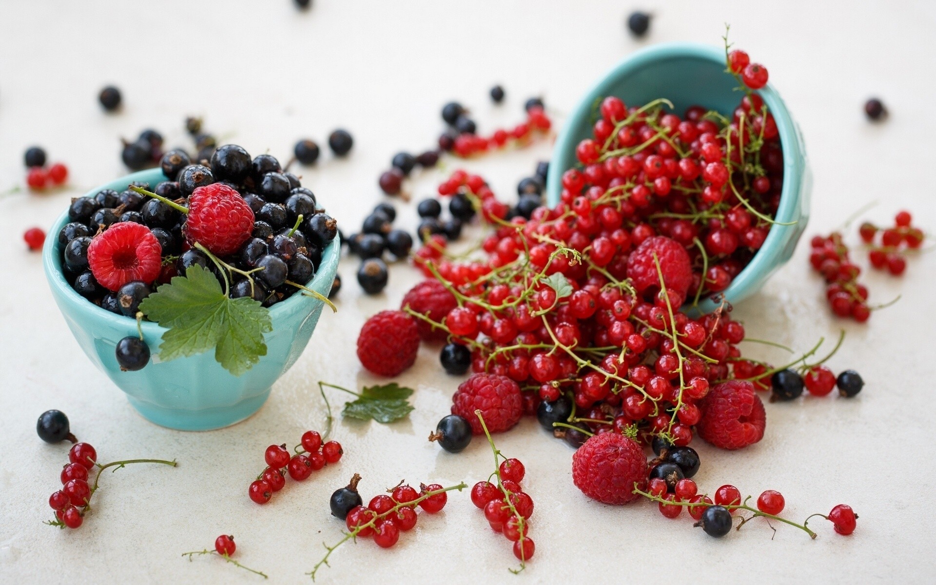 beeren himbeeren johannisbeeren