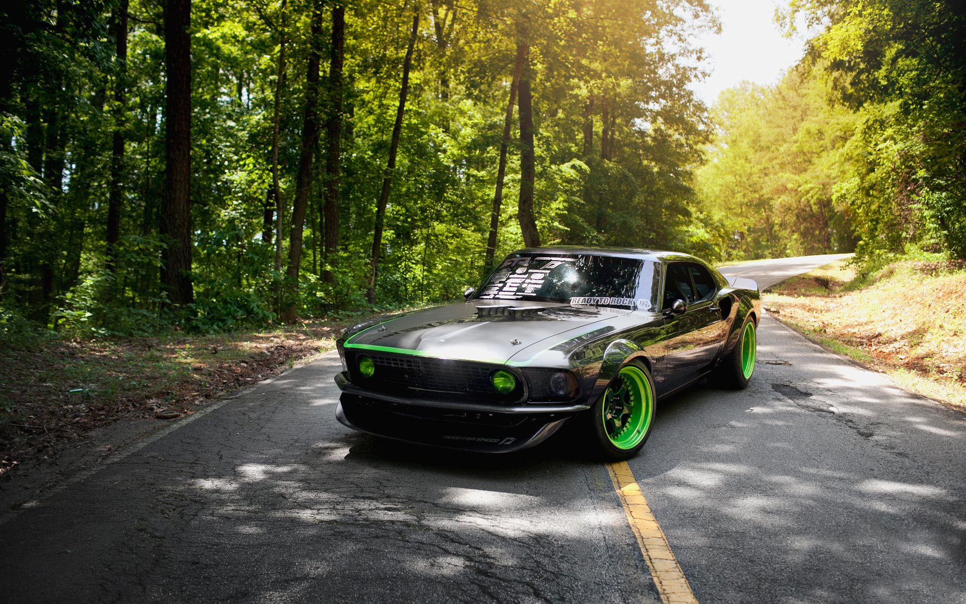 ford mustang rtr-x carretera naturaleza vegetación