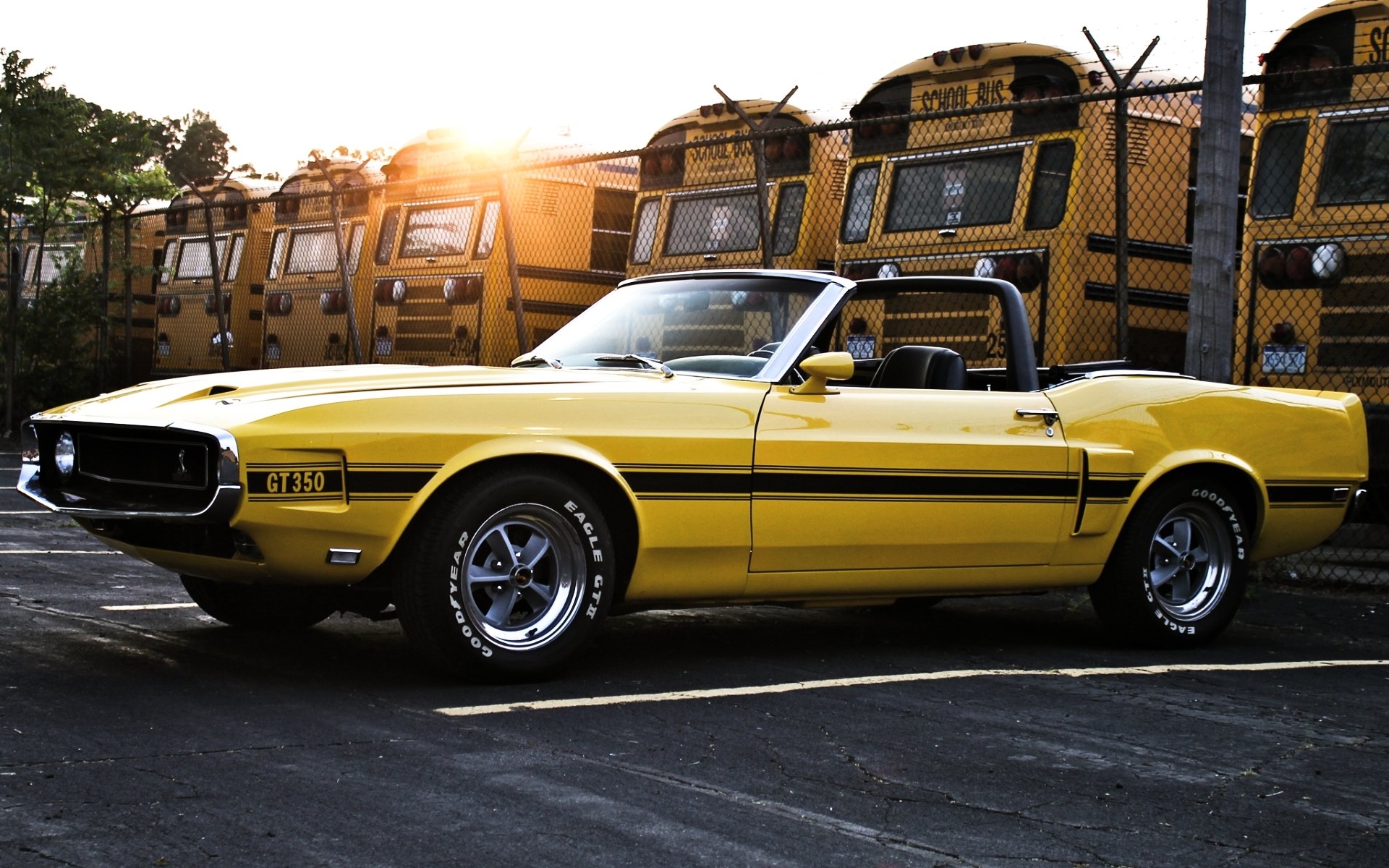 ford mustang shelby gt350 convertibile 1969 giallo vista laterale muscle car muscle car recinzione autobus cielo sole