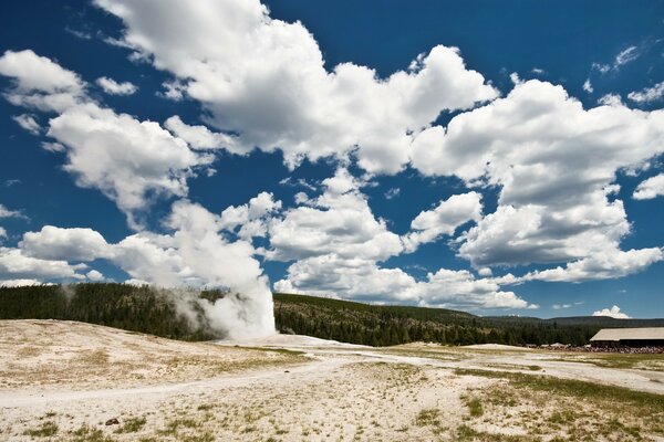 Geysir, das Wasser auf dem Hintergrund des Waldes ableitet