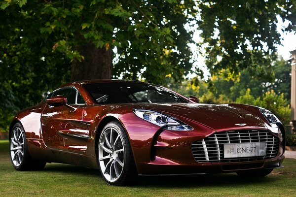 Aston Martin one77 se tient sur la pelouse