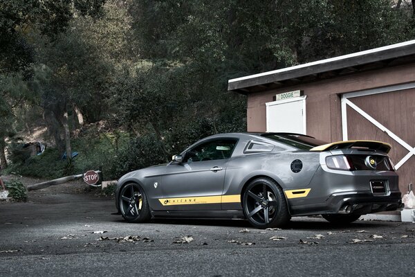 Foto della parte posteriore della muscle car Silver Mustang