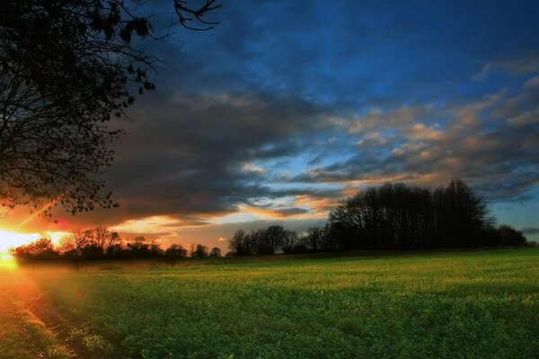 Lever du soleil image champ et forêt