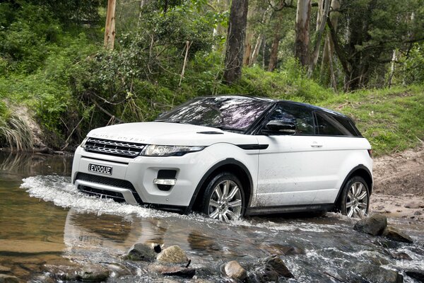 Land Rover au moins une ville au moins dans la forêt