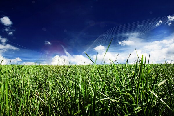 Schöner grüner Rasen mit blauem Himmel in den Wolken