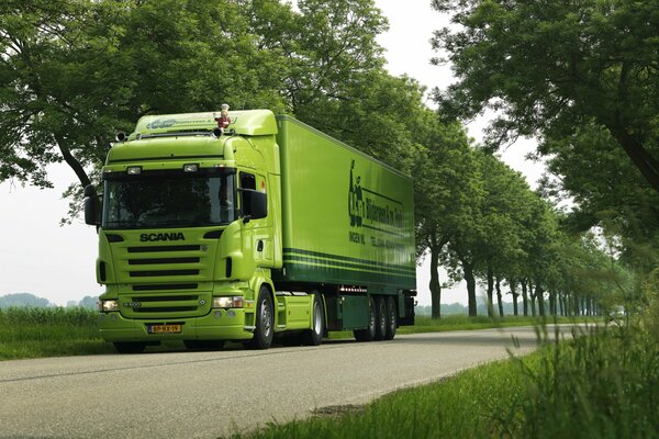 Camion scania vert parmi les arbres verts