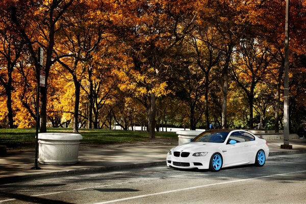 Hermoso paisaje de otoño con coche