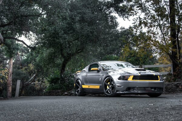 JT s gray Mustang with yellow stripes is standing on the road