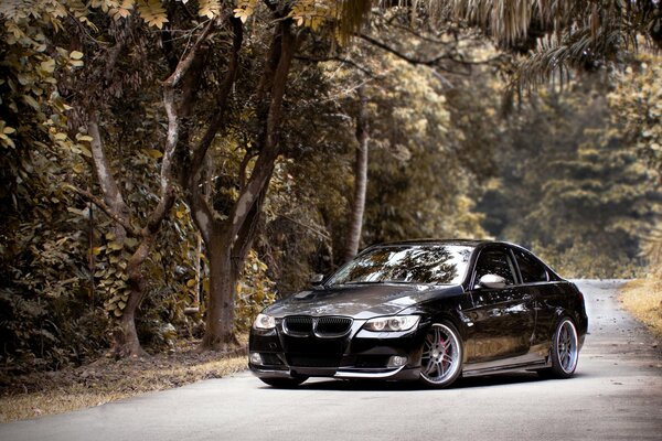 Nero bmw 335i sulla strada nel bosco