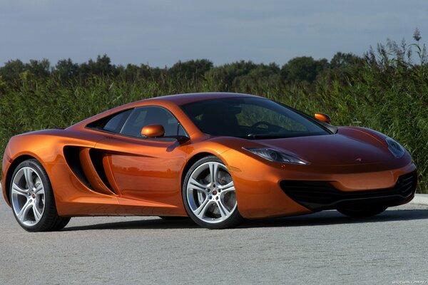 Orange sports car on a background of trees