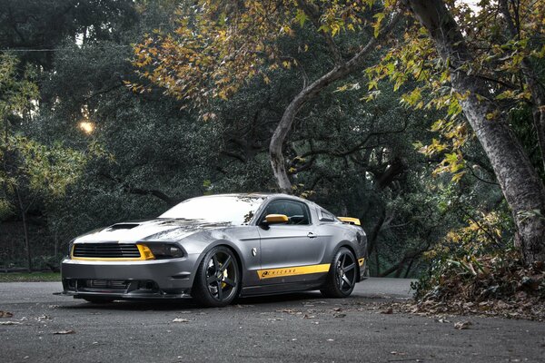 Ford Mustang plateado cerca del árbol