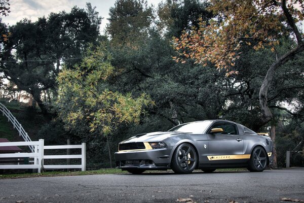 Foto de un Mustang plateado en la carretera frente al bosque entre los árboles