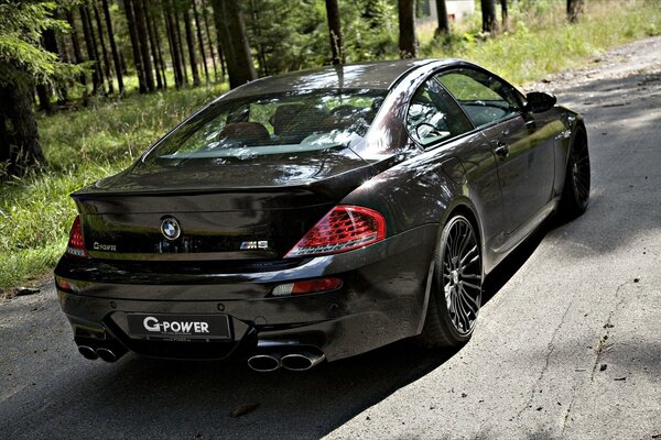 Bmw fuhr in Waldstück ein und blieb stehen