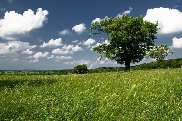 Beautiful day blue sky